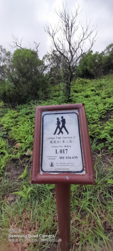 IMG_20220820_48291.jpg