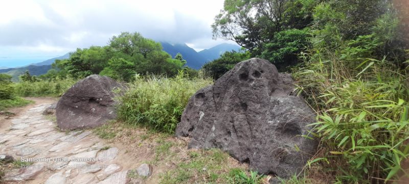 IMG_20220820_45685.jpg