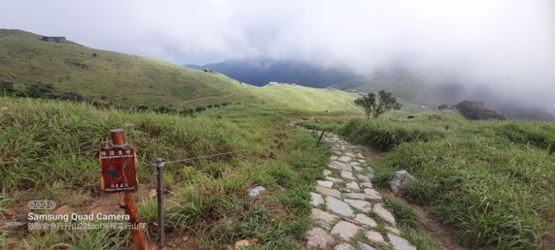 IMG_20220820_3915.jpg