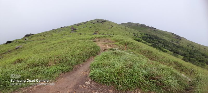 IMG_20220820_38422.jpg