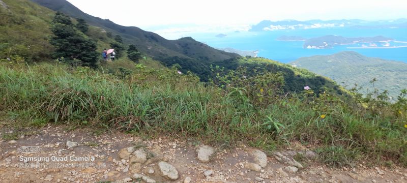 IMG_20220820_26931.jpg