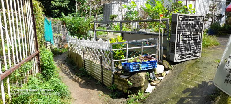 IMG_20220822_35629.jpg