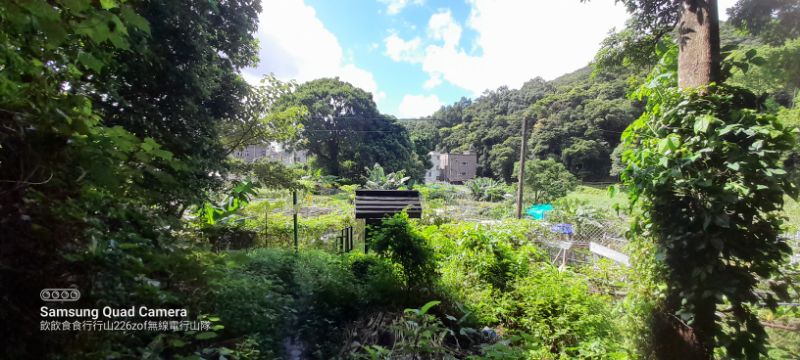 IMG_20220822_3448.jpg