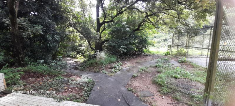 IMG_20220822_27506.jpg
