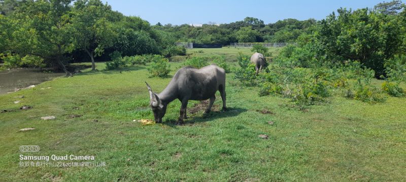 IMG_20220830_4942.jpg