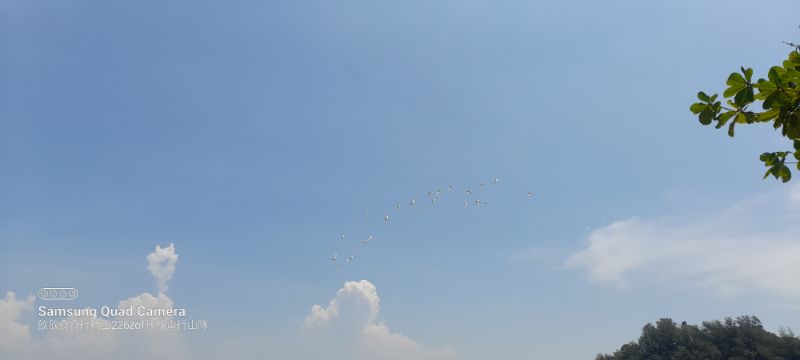 IMG_20220830_53302.jpg