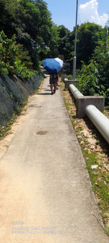 IMG_20220830_50229.jpg