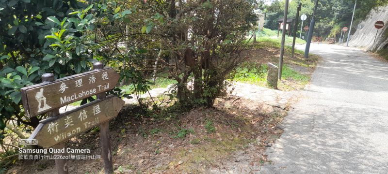 IMG_20220911_55834.jpg