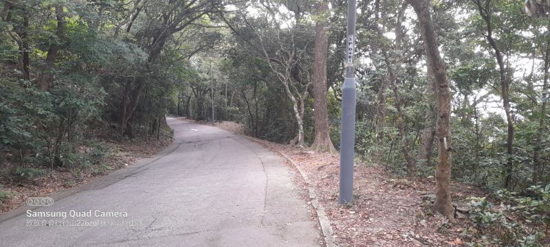 IMG_20220911_58379.jpg