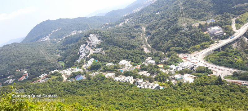 IMG_20221006_11498.jpg