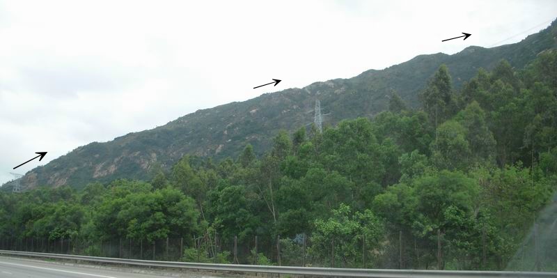 DSCN9904.jpg