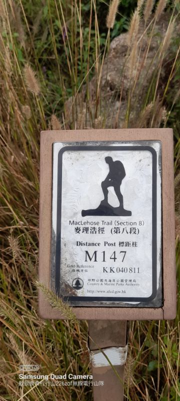 IMG_20221123_5831.jpg