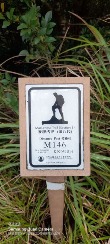 IMG_20221123_1892.jpg