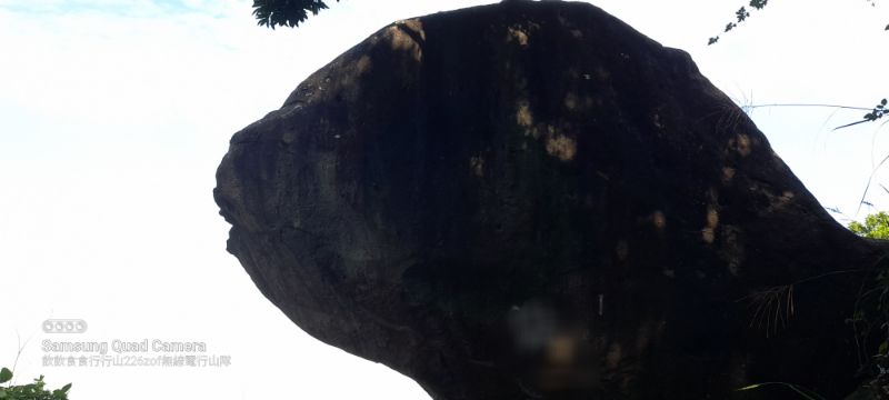 IMG_20221125_10392.jpg