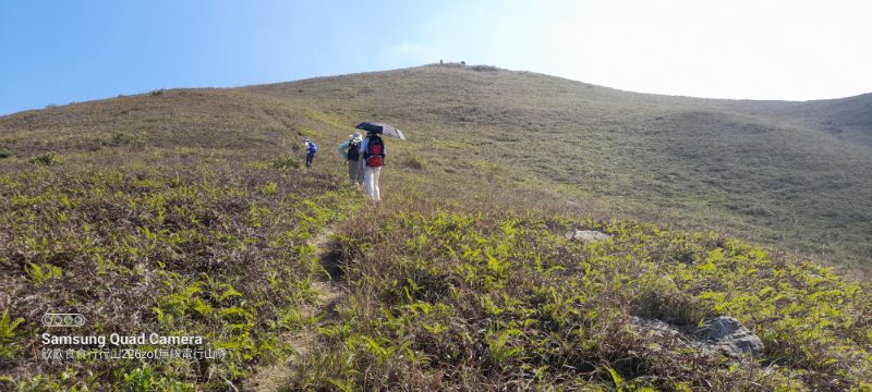 IMG_20221125_3853.jpg