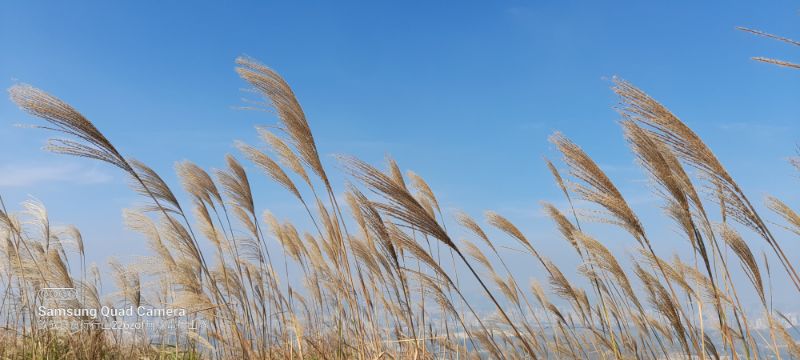IMG_20221125_0740.jpg