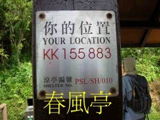 13557.jpg
