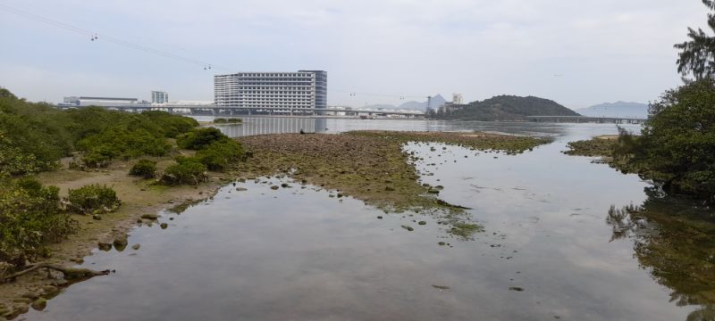 IMG_20230222_15255.jpg