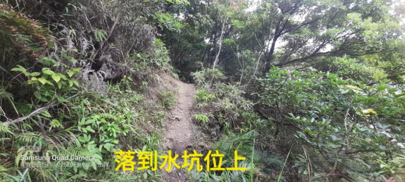 IMG_20230410_17364.jpg