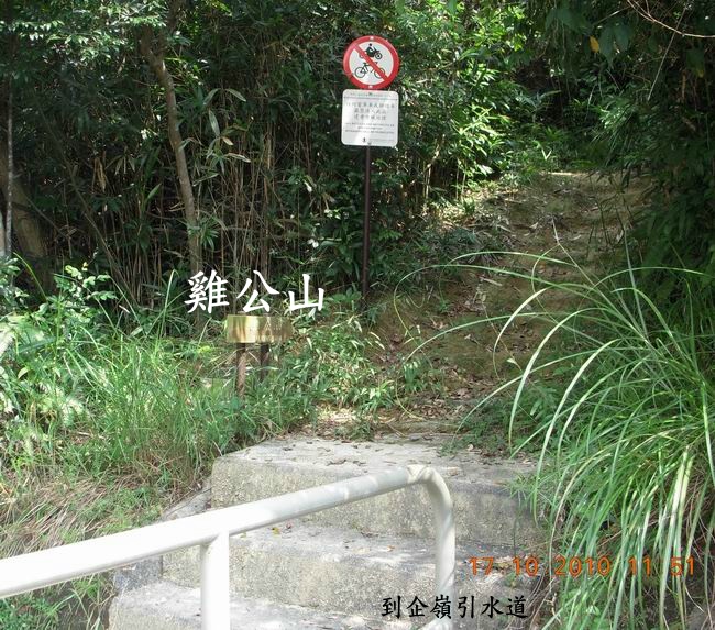 DSCN9965.jpg