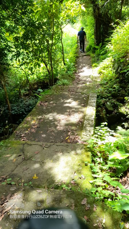 IMG_20230622_12617.jpg
