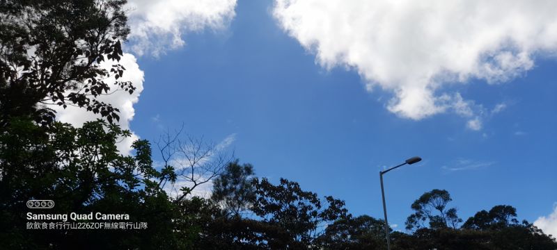IMG_20230813_25417.jpg
