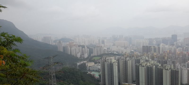 IMG_20230901_35789.jpg