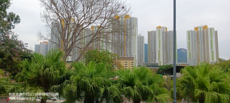 IMG_20231220_44295.jpg