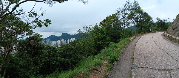 IMG_20240505_11842.jpg