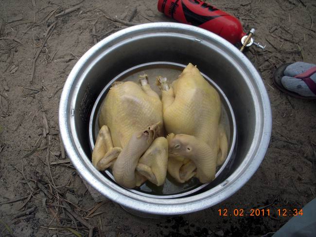 DSCN9995.jpg