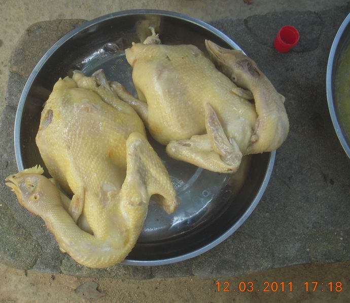DSCN0020.jpg