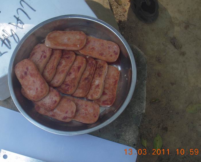 DSCN0137.jpg