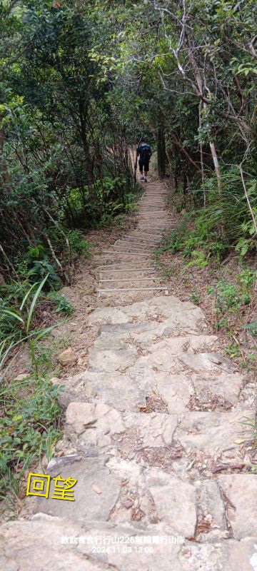 IMG_20241104_9588.jpg