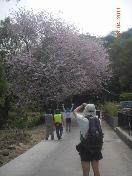 DSCN0003.JPG