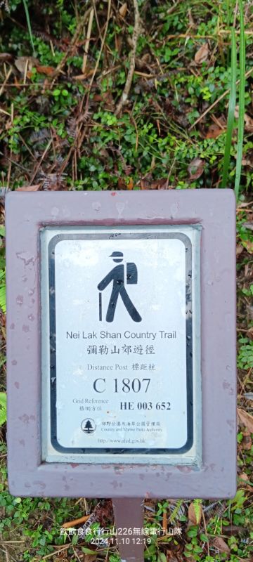 1000073522.jpg