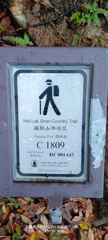 1000073518.jpg