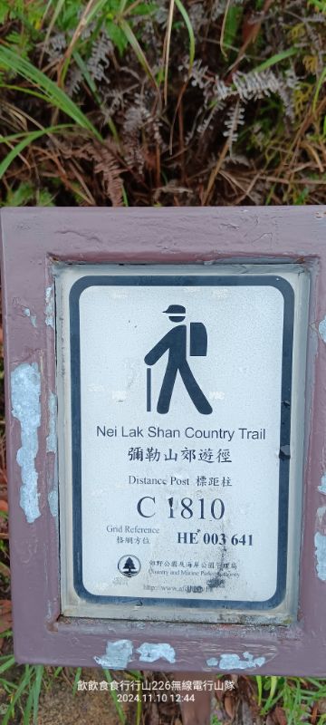 1000073516.jpg