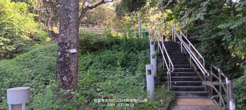 IMG_20241126_5909.jpg