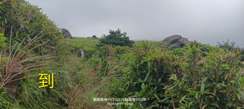 IMG_20241126_2153.jpg