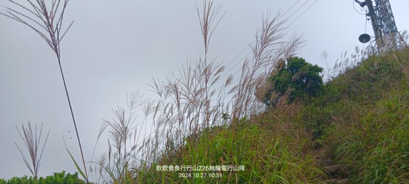 IMG_20241126_1785.jpg