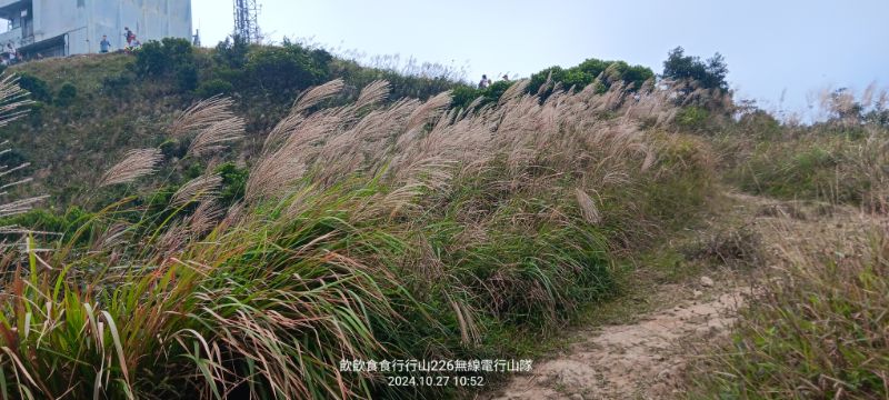 IMG_20241126_0987.jpg