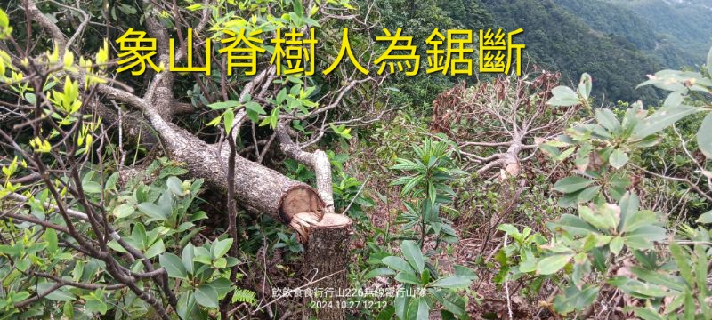 IMG_20241126_57587.jpg
