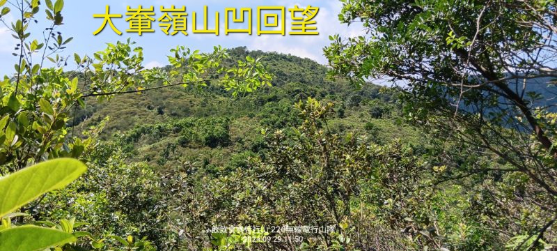 IMG_20241126_20819.jpg
