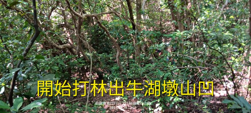 IMG_20241126_20409.jpg
