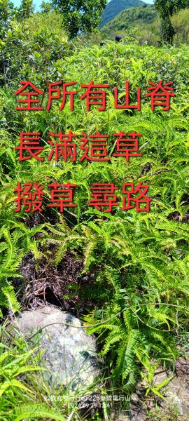 IMG_20241126_2031.jpg