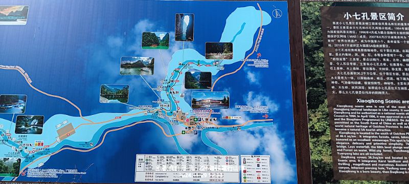 IMG_20241206_23729.jpg