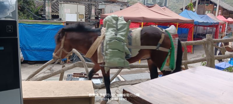 IMG_20241206_8971.jpg