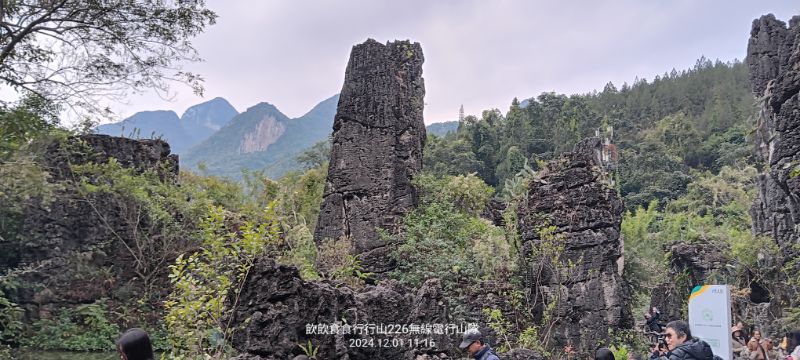 IMG_20241206_17382.jpg