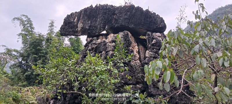 IMG_20241206_16608.jpg