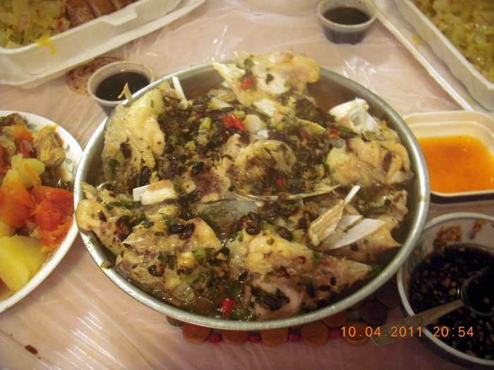 DSCN0331.JPG